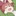ひなた(私に天使が舞い降りた！)