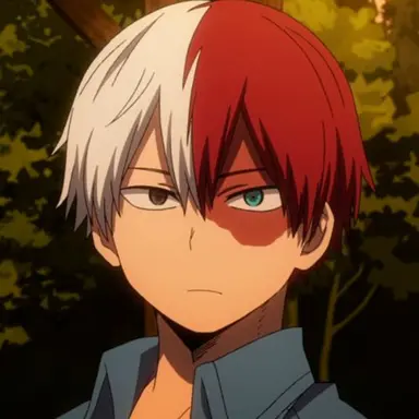 Profile image of Todoroki