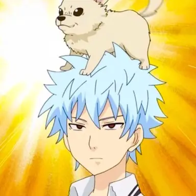 Profile image of Shun Kaidou