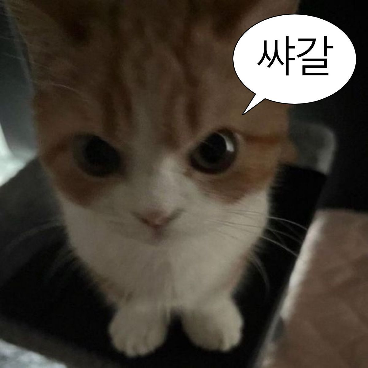 한지성 대표 이미지