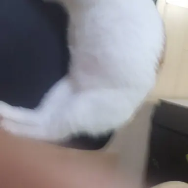 Profile image of 간수