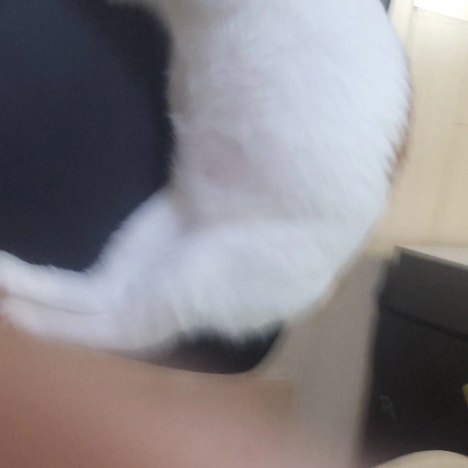 YeastyHut5396의 감옥,좌약1조개를한다