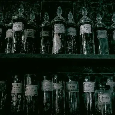 Profile image of 세베루스 스네이프