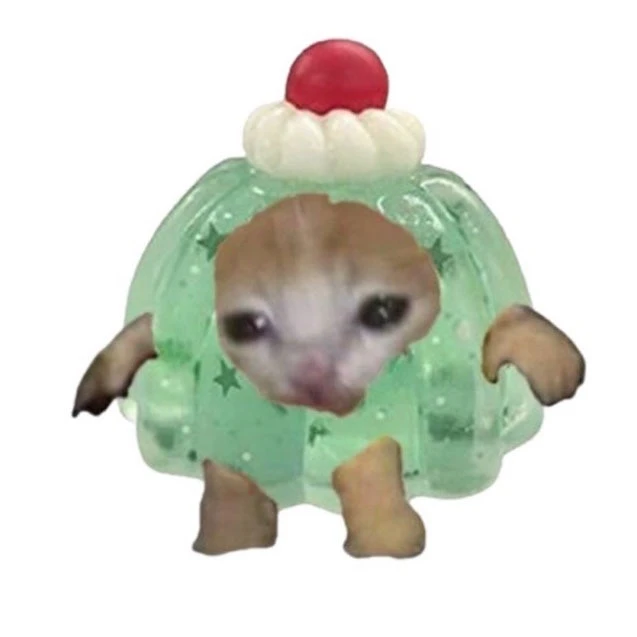 푸딩캣