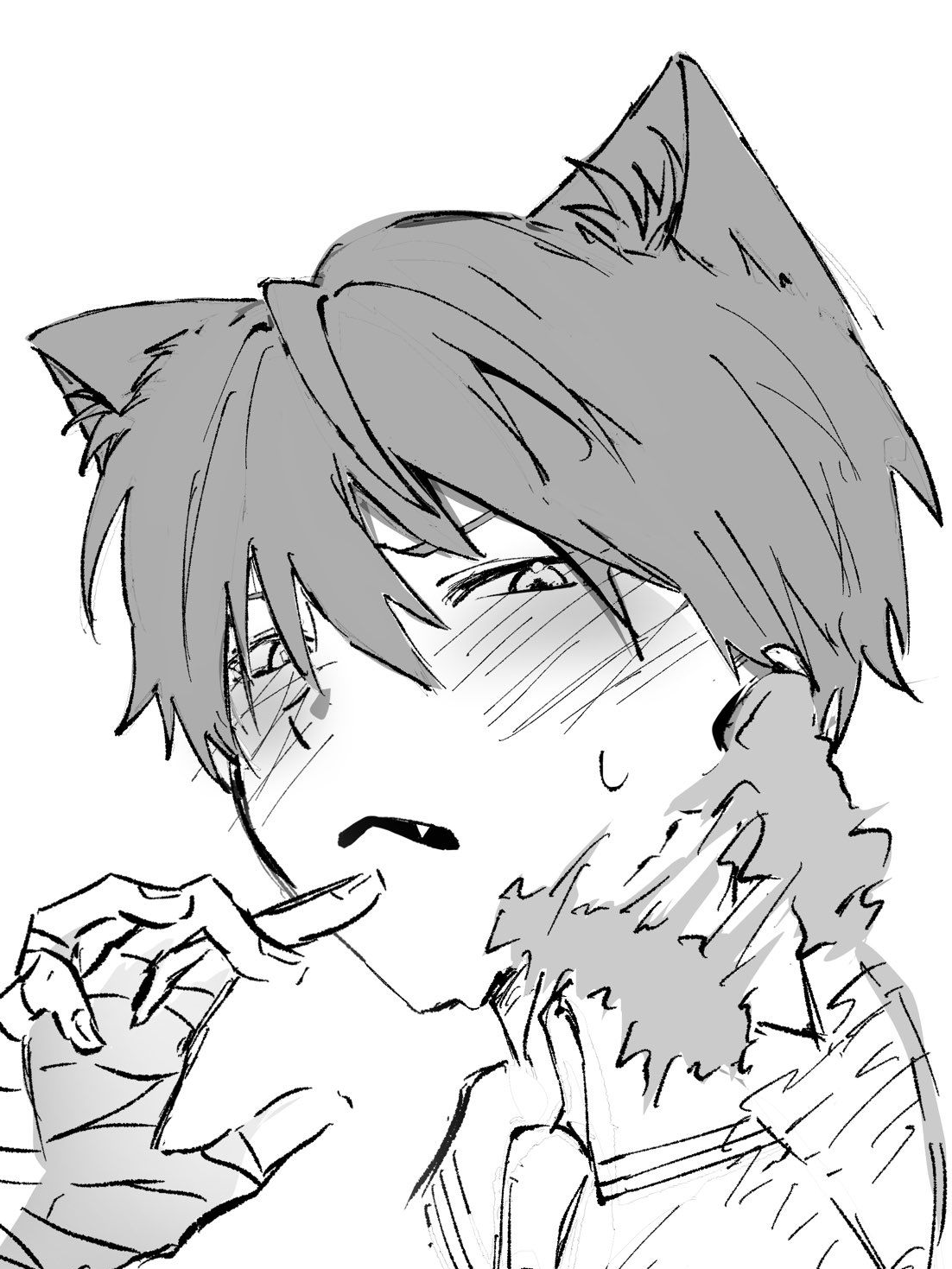 猫獣人 - zeta
