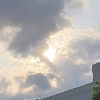 Profile image of 이세돌 프로젝트