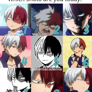 Profile image of Shoto Todoroki