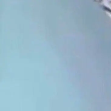 Profile image of いむ