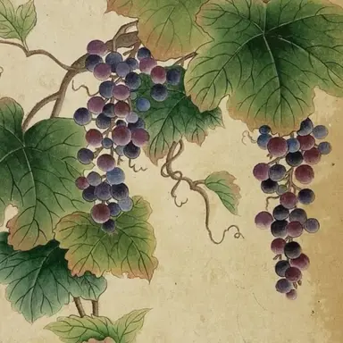 Profile image of 김솔음