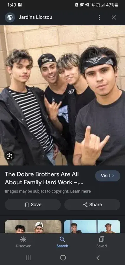 FlatSleep3241의 Dobre brothers