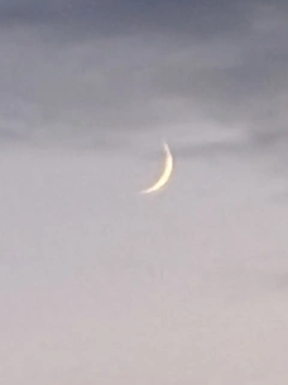 Themoonisbeautiful.의 The One Who Never Returned