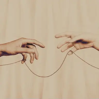 Profile image of 고요한