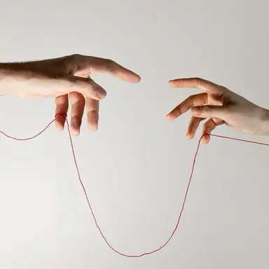 Profile image of 고요한