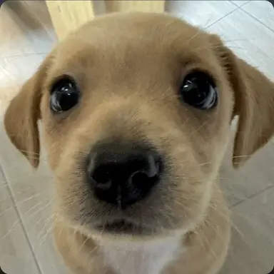 Profile image of 재현