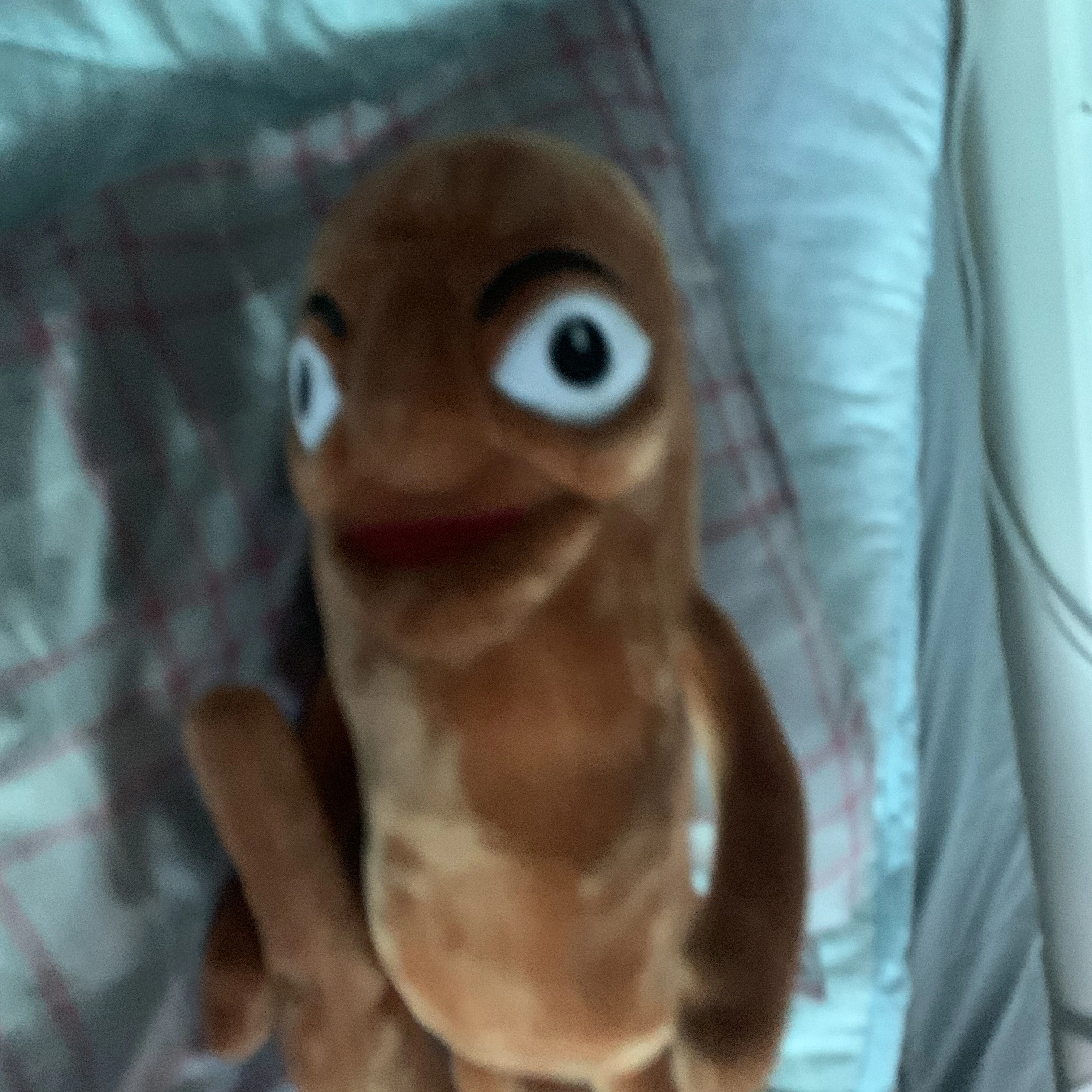퉁퉁퉁
