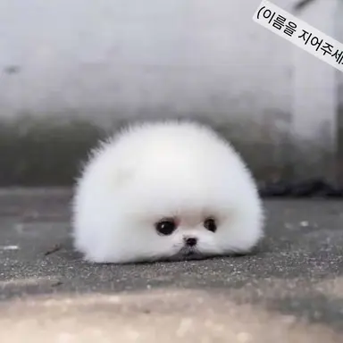Profile image of 이름을 지어주어요