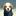 犬達