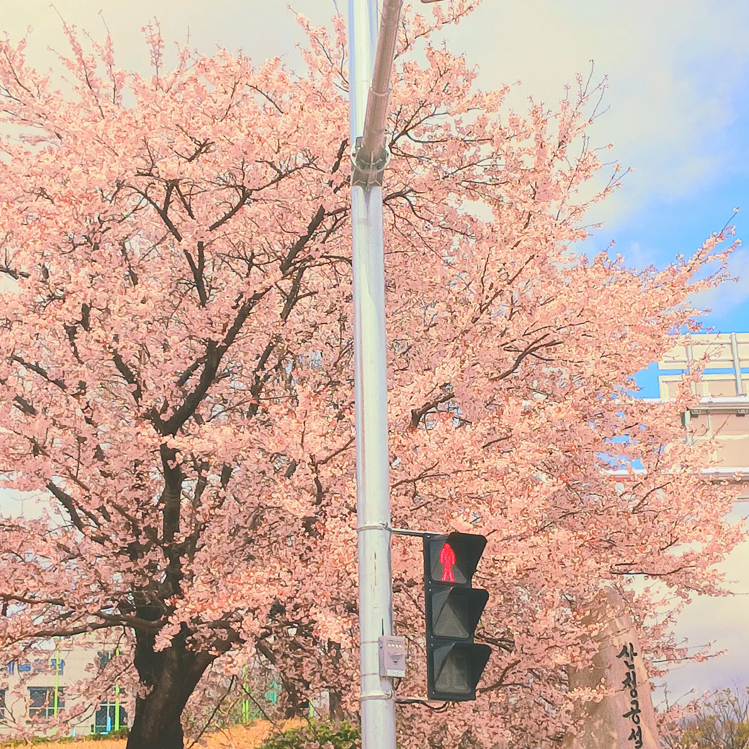 Ayeon_Zinc의 핑크빛 로판 세계
