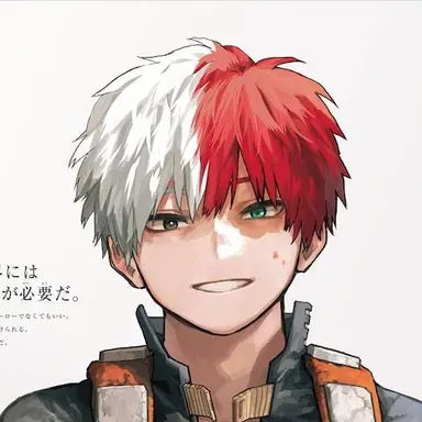 Profile image of Shoto Todoroki