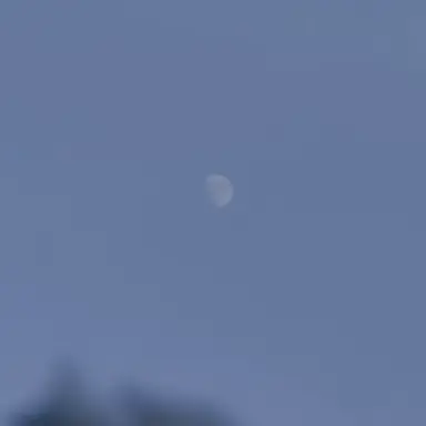 Profile image of 南郷