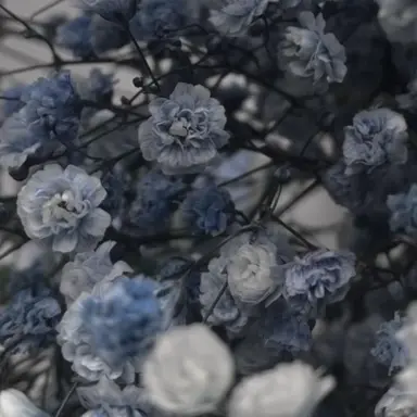 Profile image of 安岡