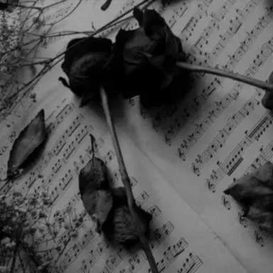 Profile image of Hyunjin