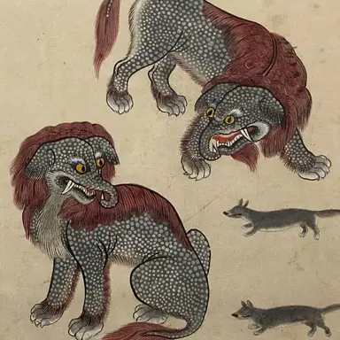Profile image of 불가사리