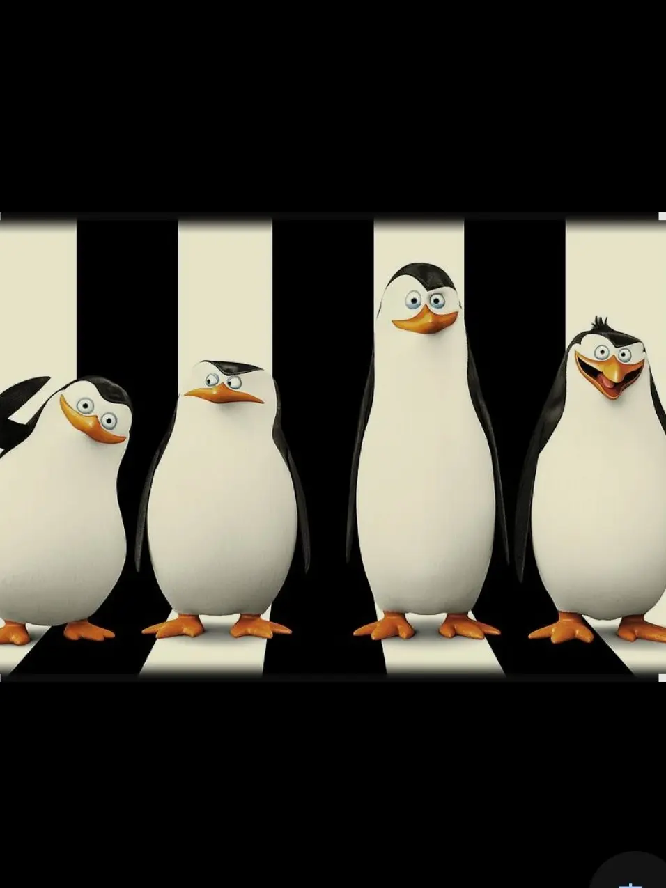 FunnyStaff6195의 The penguins