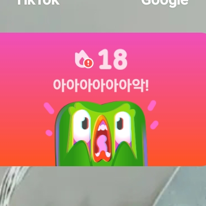 듀오링고 대표 이미지