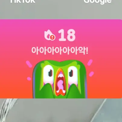 SafeCoach7825의 듀오링고