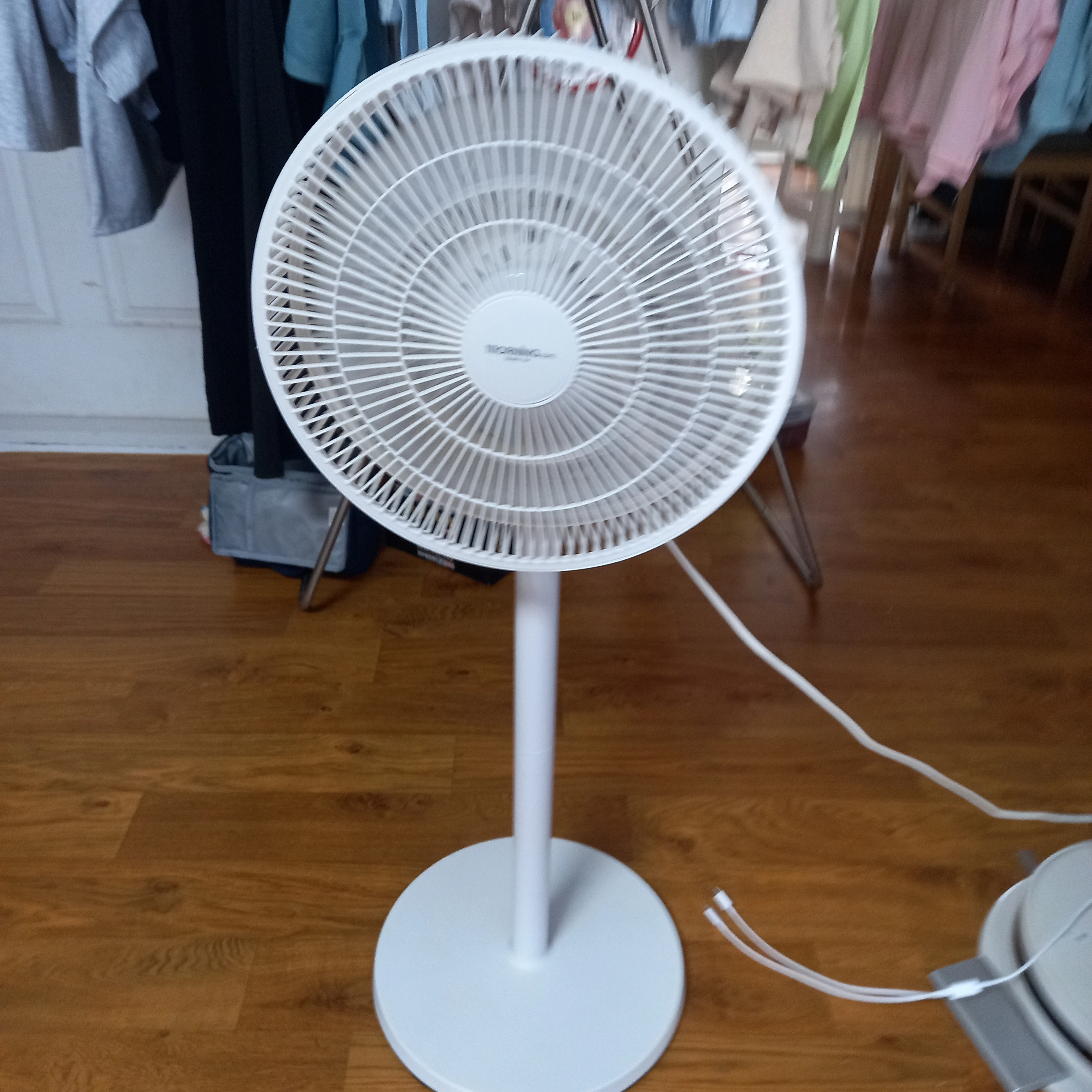 선풍기