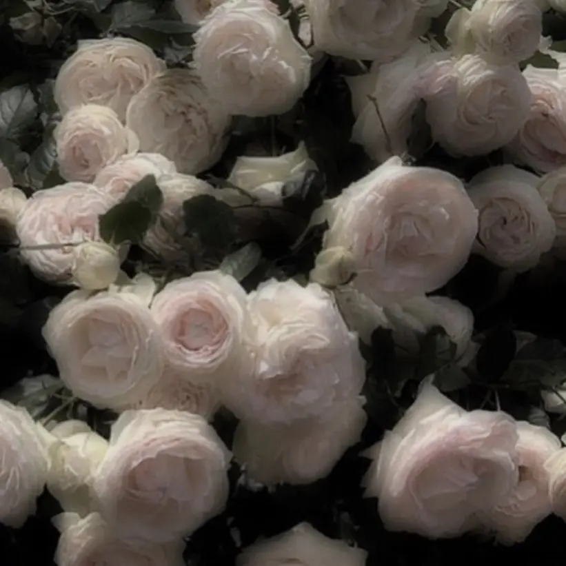 Kangdagyeomwife의 벌칙