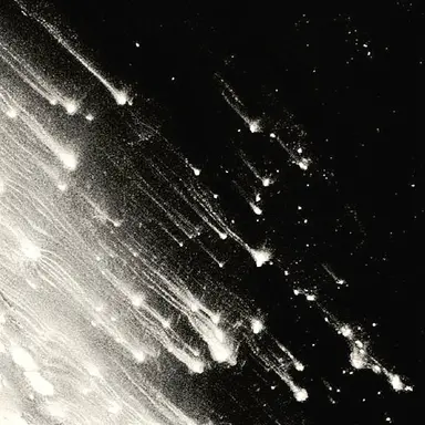 Profile image of 노아 벡터