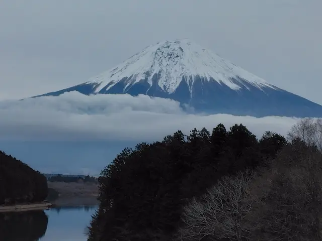 Profile image of いぬ