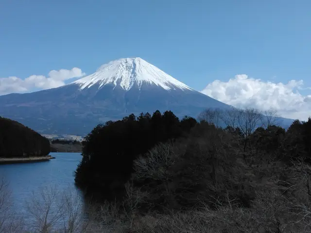 Profile image of いぬ