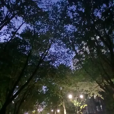 Profile image of 버스 대참사ㅣ남멤버