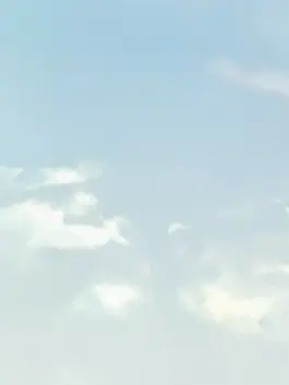 ___.__의 카미고