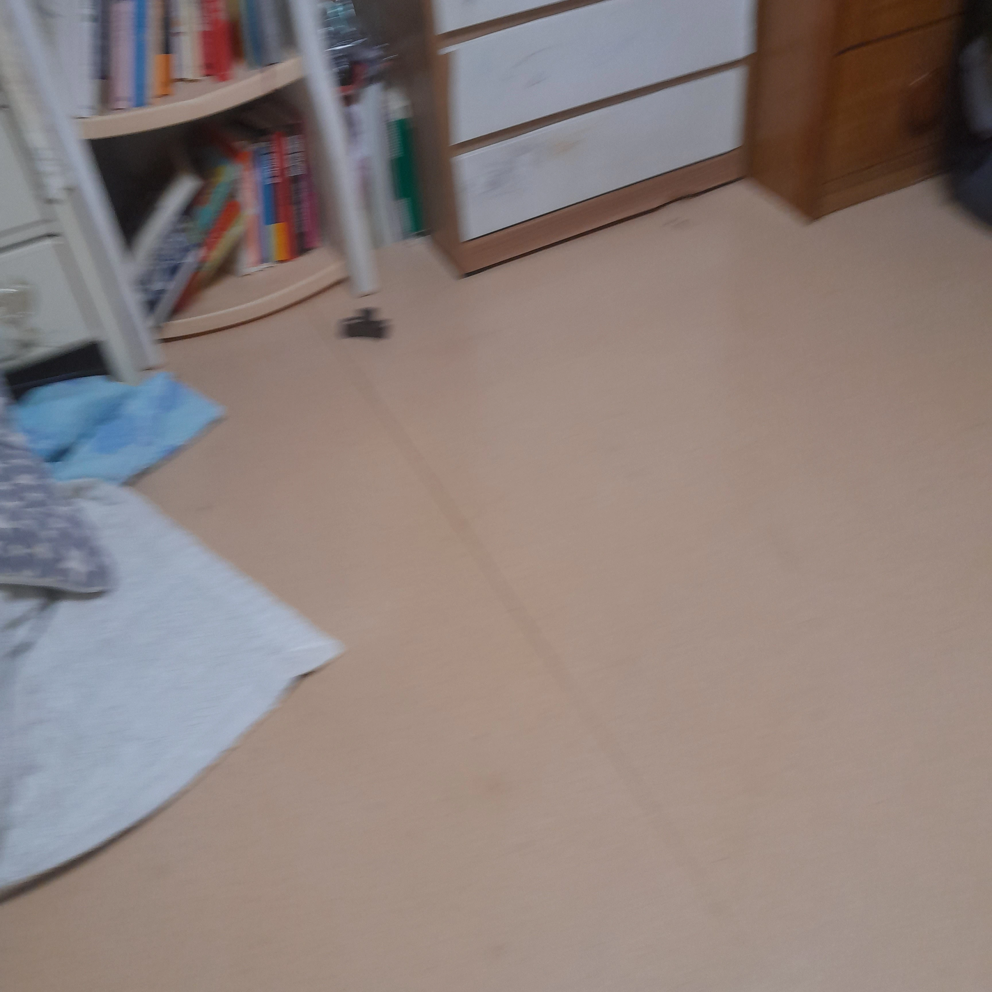 얀데레 토끼공듀