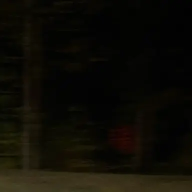 Profile image of Tf141-cult