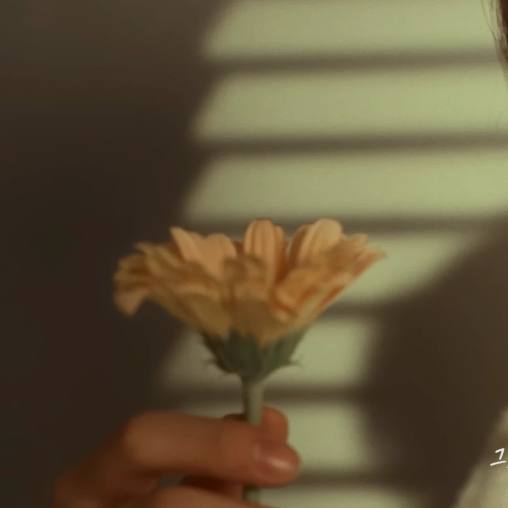 김동현