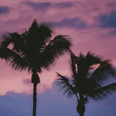 Profile image of 남녀무리