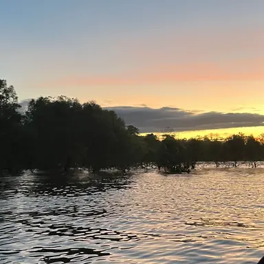 Profile image of 퓨리엔