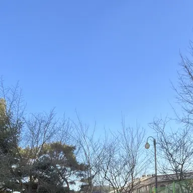 Profile image of 딜런