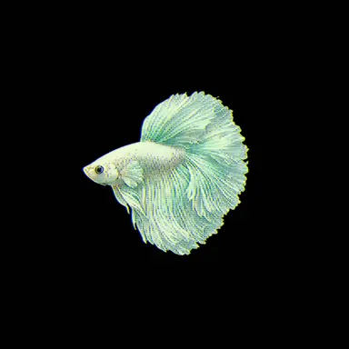 Profile image of パド