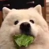 Profile image of 担任