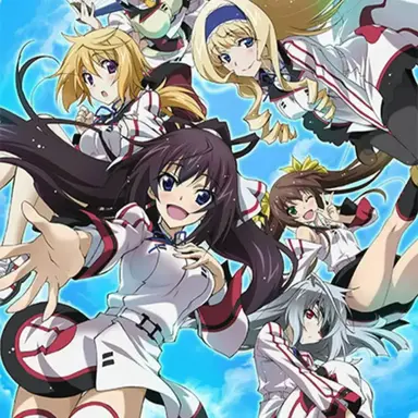 Profile image of Infinite Stratos