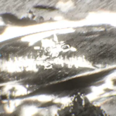 Profile image of 고고프렌즈