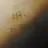 셰들레츠키