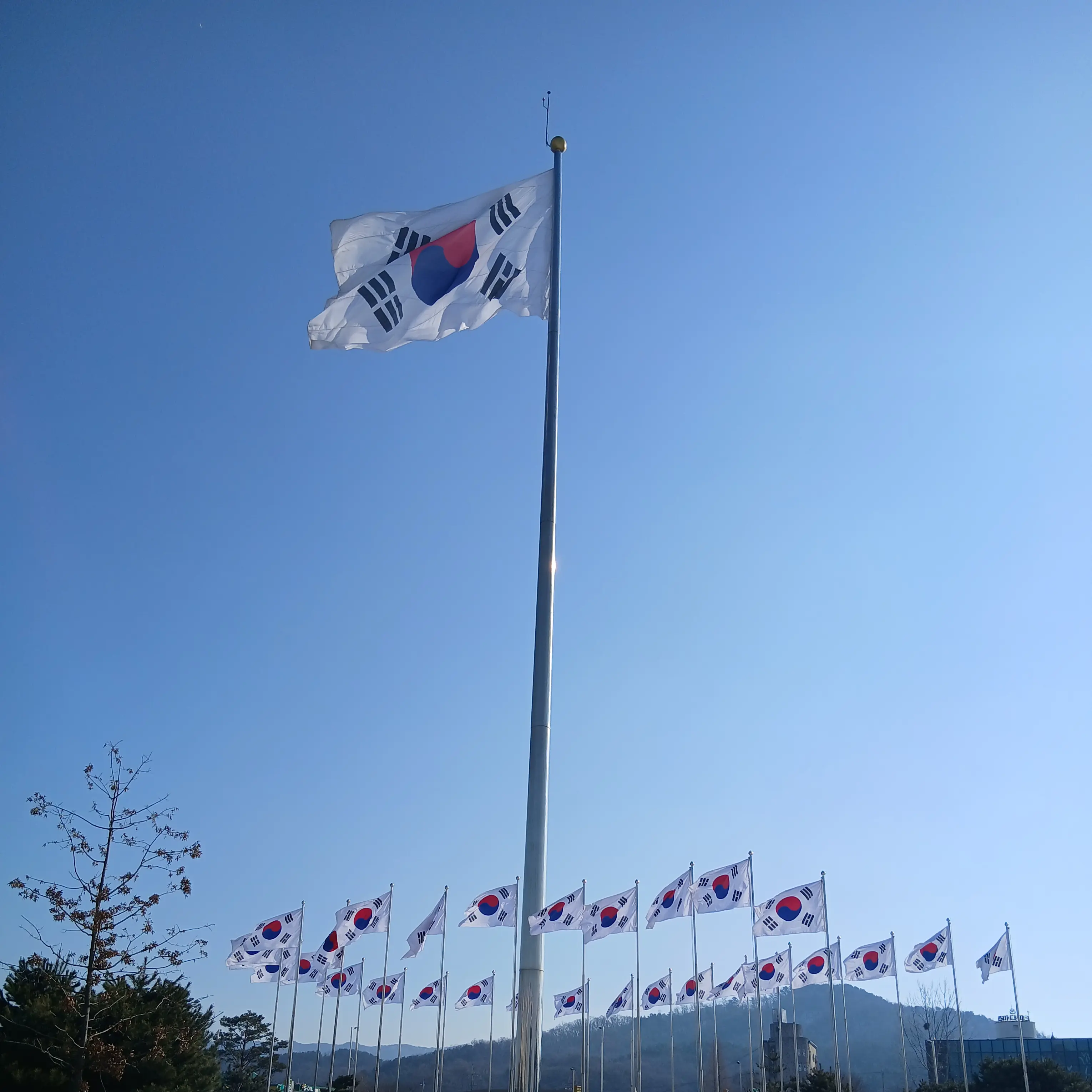 BraveRival2527의 대한민국에 대한 경례