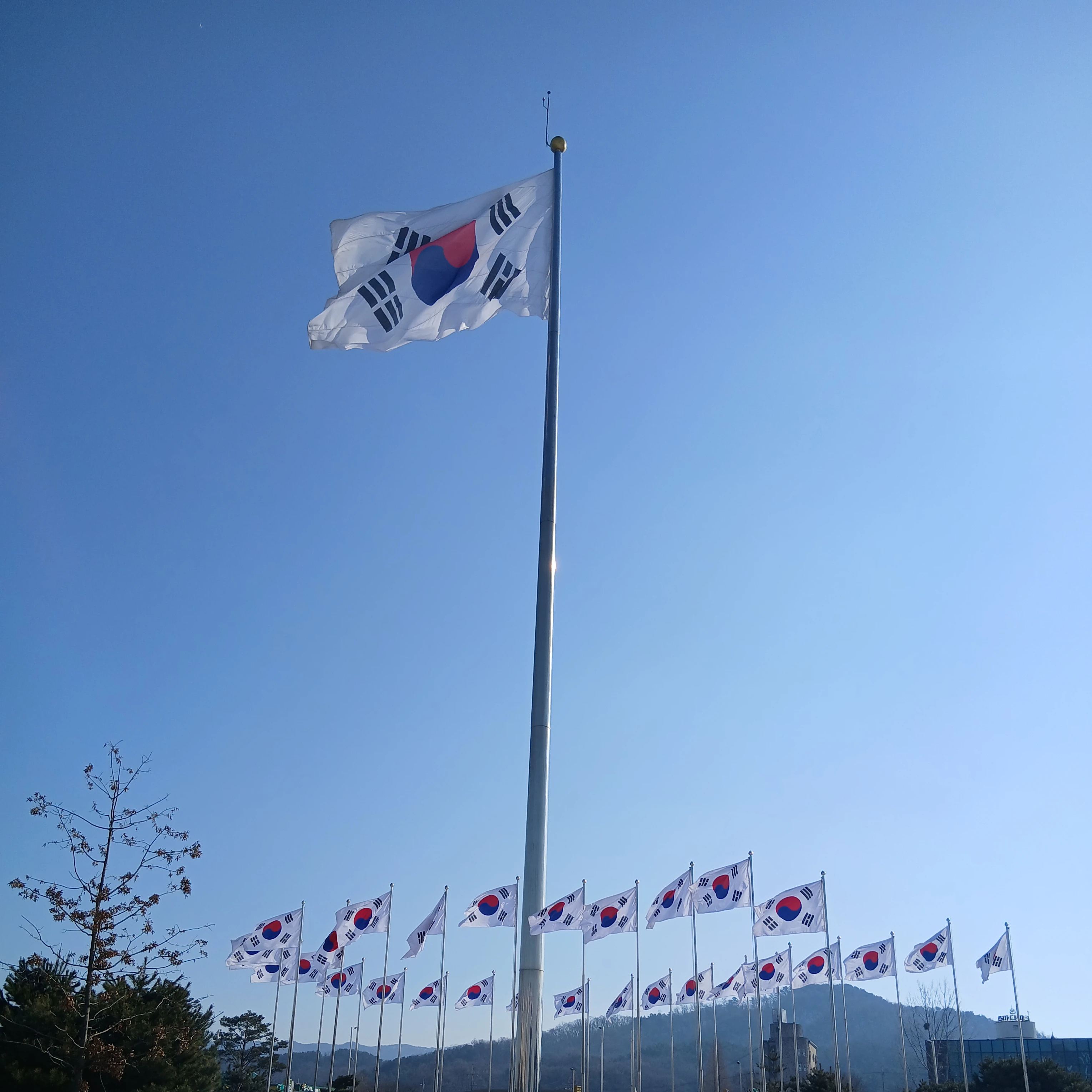 대한민국에 대한 경례